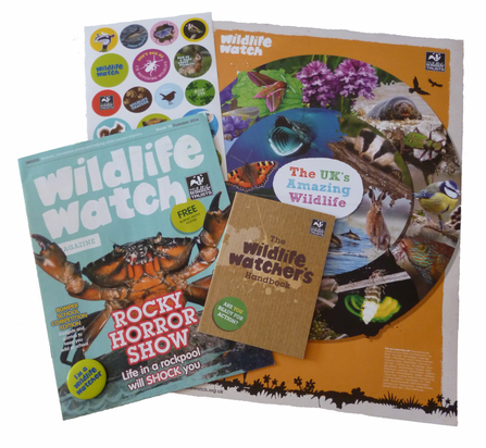 Wildlife watch